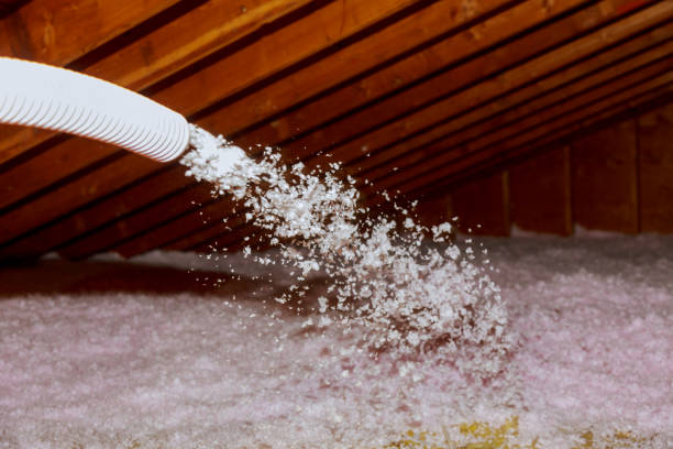 Professional Insulation Contractor in Waimanalo, HI