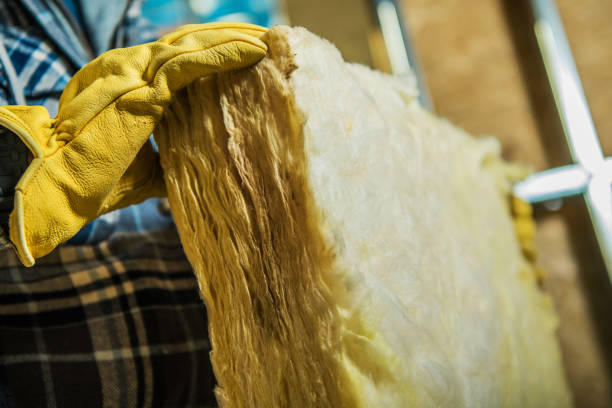 Best Specialized Insulation Services in Waimanalo, HI